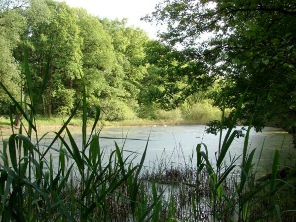Ferienhaus Bindow Heidesee ภายนอก รูปภาพ